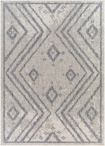 Tuareg TRG-2312 Machine Woven Rug