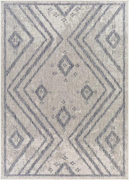 Tuareg TRG-2312 Machine Woven Rug