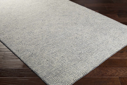 Halcyon HCY-2302 Hand Tufted Rug