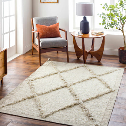 Tripoli TRP-2302 Handmade Rug