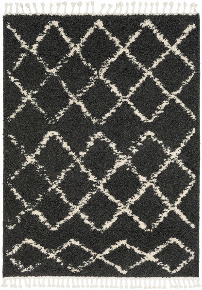 Berber Shag BBE-2307 Machine Woven Rug