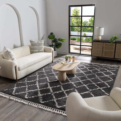 Berber Shag BBE-2307 Machine Woven Rug