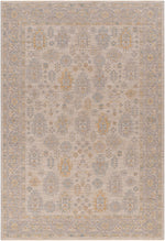 Avant Garde AVT-2353 Machine Woven Rug