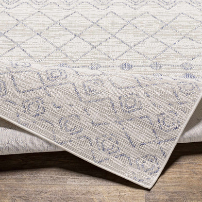 Tuareg TRG-2387 Machine Woven Rug