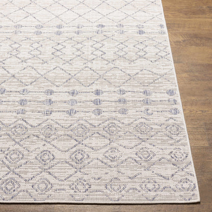 Tuareg TRG-2387 Machine Woven Rug