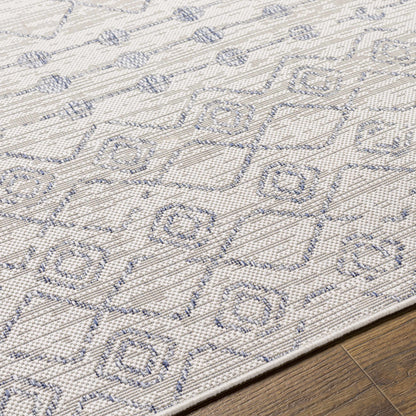 Tuareg TRG-2387 Machine Woven Rug