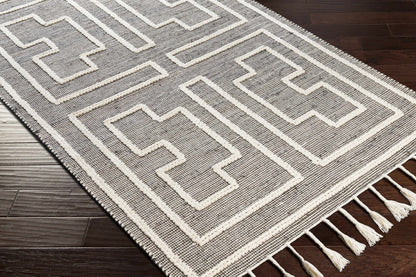Norwood NWD-2302 Hand Woven Rug