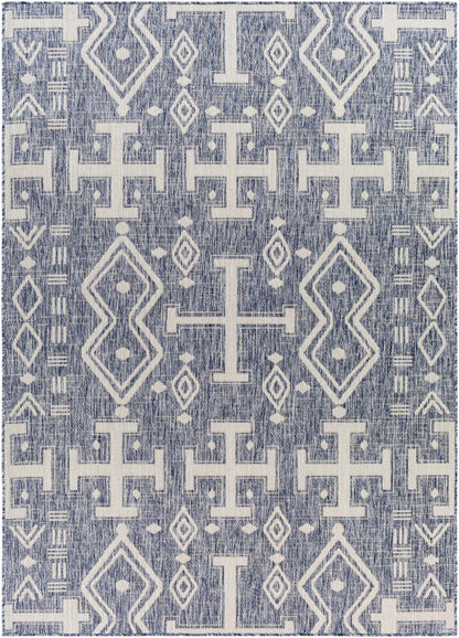 Tuareg TRG-2323 Machine Woven Rug