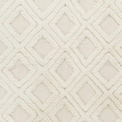 Kabru KAB-8018 Hand Woven Rug