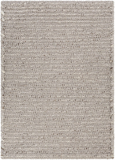 Taupe Hand Woven 100% Recycled PET Yarn Modern Rectangle Handmade rug, Indoor use only, no fringe, non-washable.