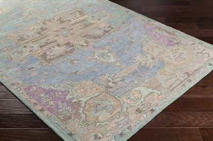 Classic Nouveau CSN-1010 Hand Tufted Rug