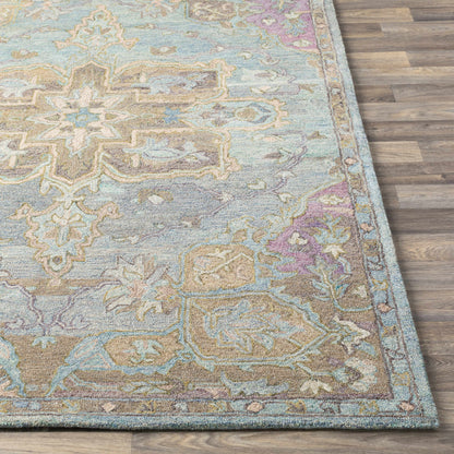 Classic Nouveau CSN-1010 Hand Tufted Rug