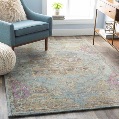 Classic Nouveau CSN-1010 Hand Tufted Rug