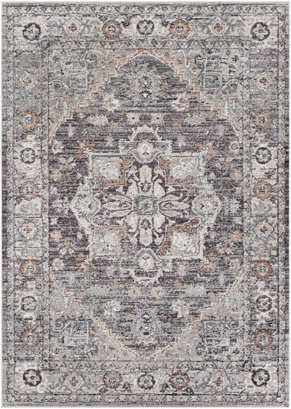 Daytona Beach DYT-2311 Machine Woven Rug