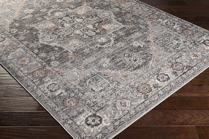 Daytona Beach DYT-2311 Machine Woven Rug
