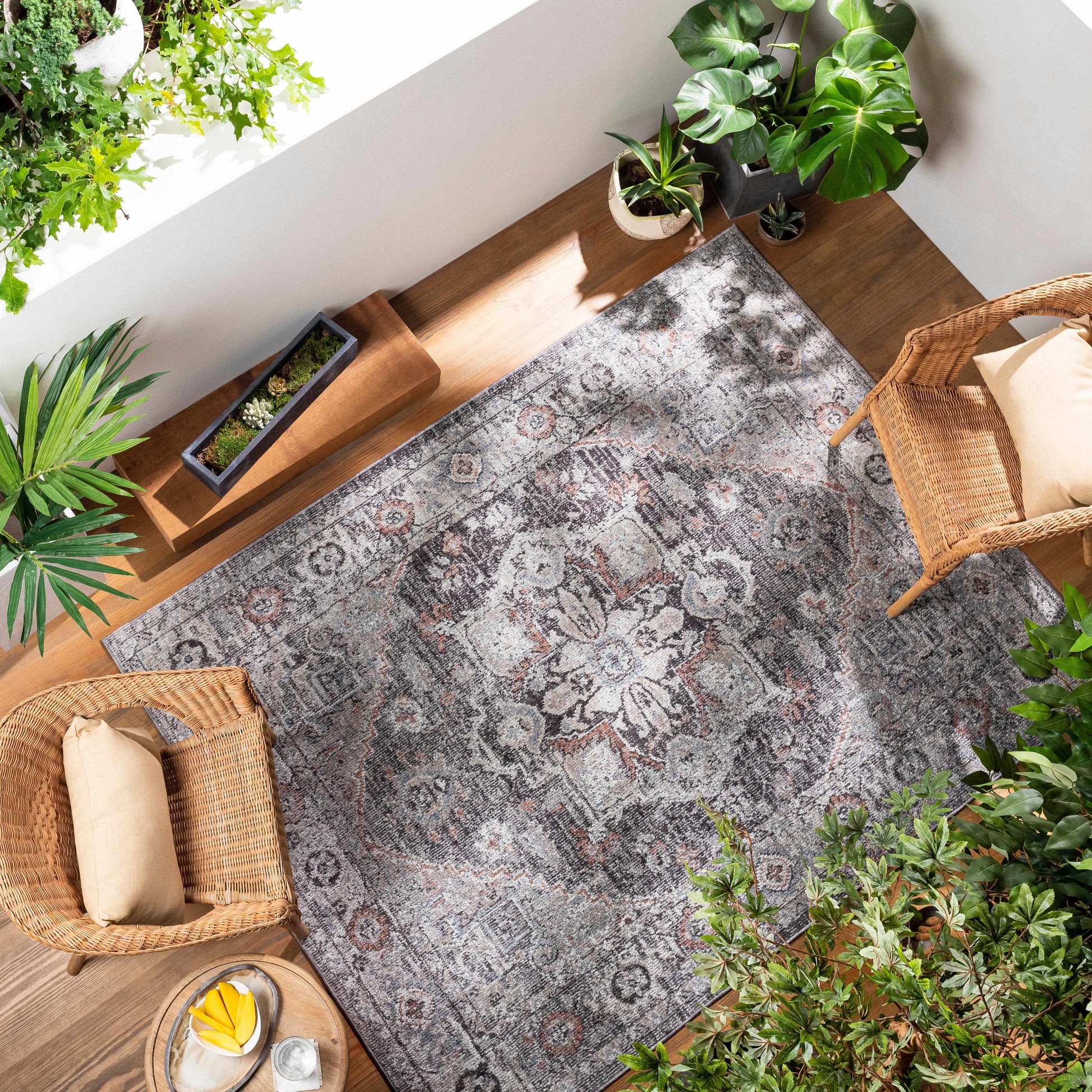 Daytona Beach DYT-2311 Machine Woven Rug