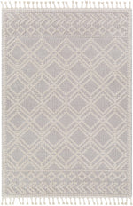 Valencia VLC-2315 Machine Woven Rug