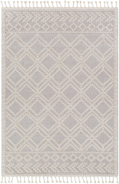 Valencia VLC-2315 Machine Woven Rug