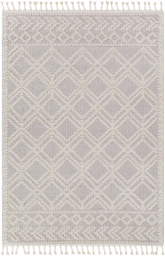 Valencia VLC-2315 Machine Woven Rug