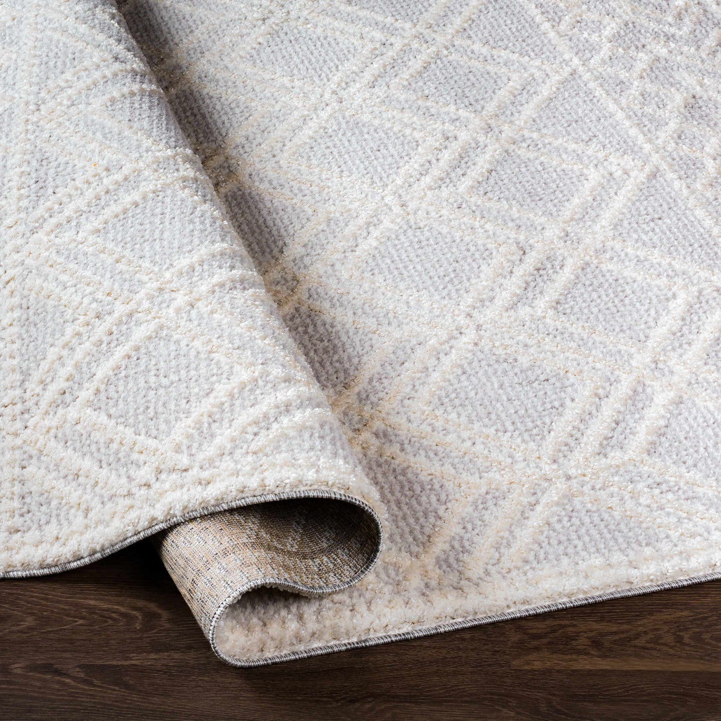 Valencia VLC-2315 Machine Woven Rug