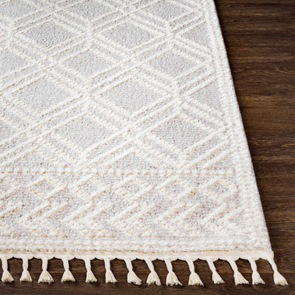 Valencia VLC-2315 Machine Woven Rug