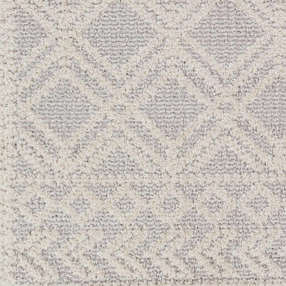 Valencia VLC-2315 Machine Woven Rug