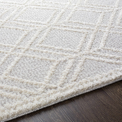 Valencia VLC-2315 Machine Woven Rug