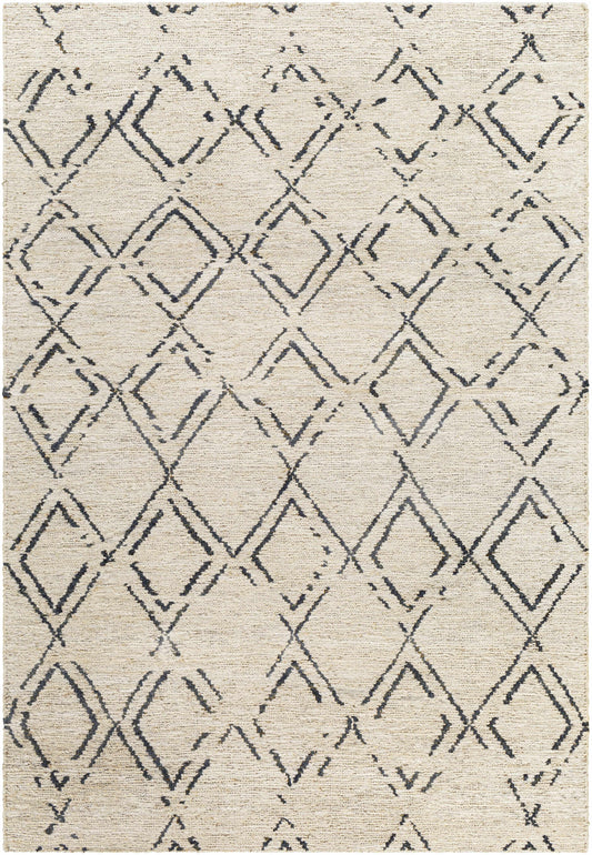 Riah RIH-2301 Hand Woven Rug