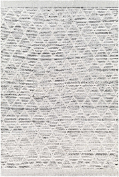 Napoli NPO-2316 Hand Woven Rug