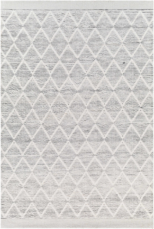 Napoli NPO-2316 Hand Woven Rug