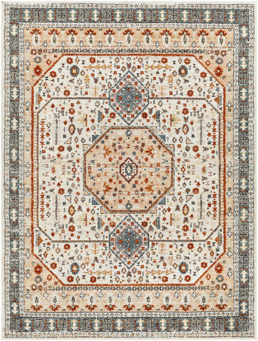 Tevazu TVZ-2339 Machine Woven Rug