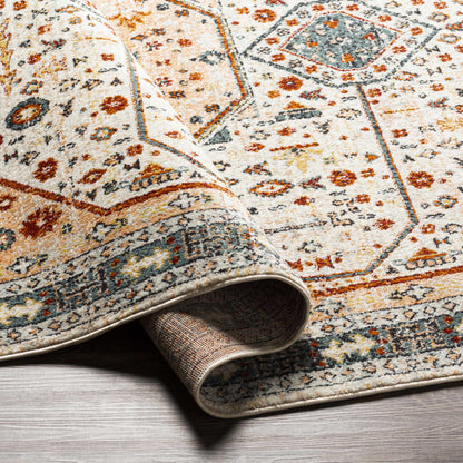 Tevazu TVZ-2339 Machine Woven Rug