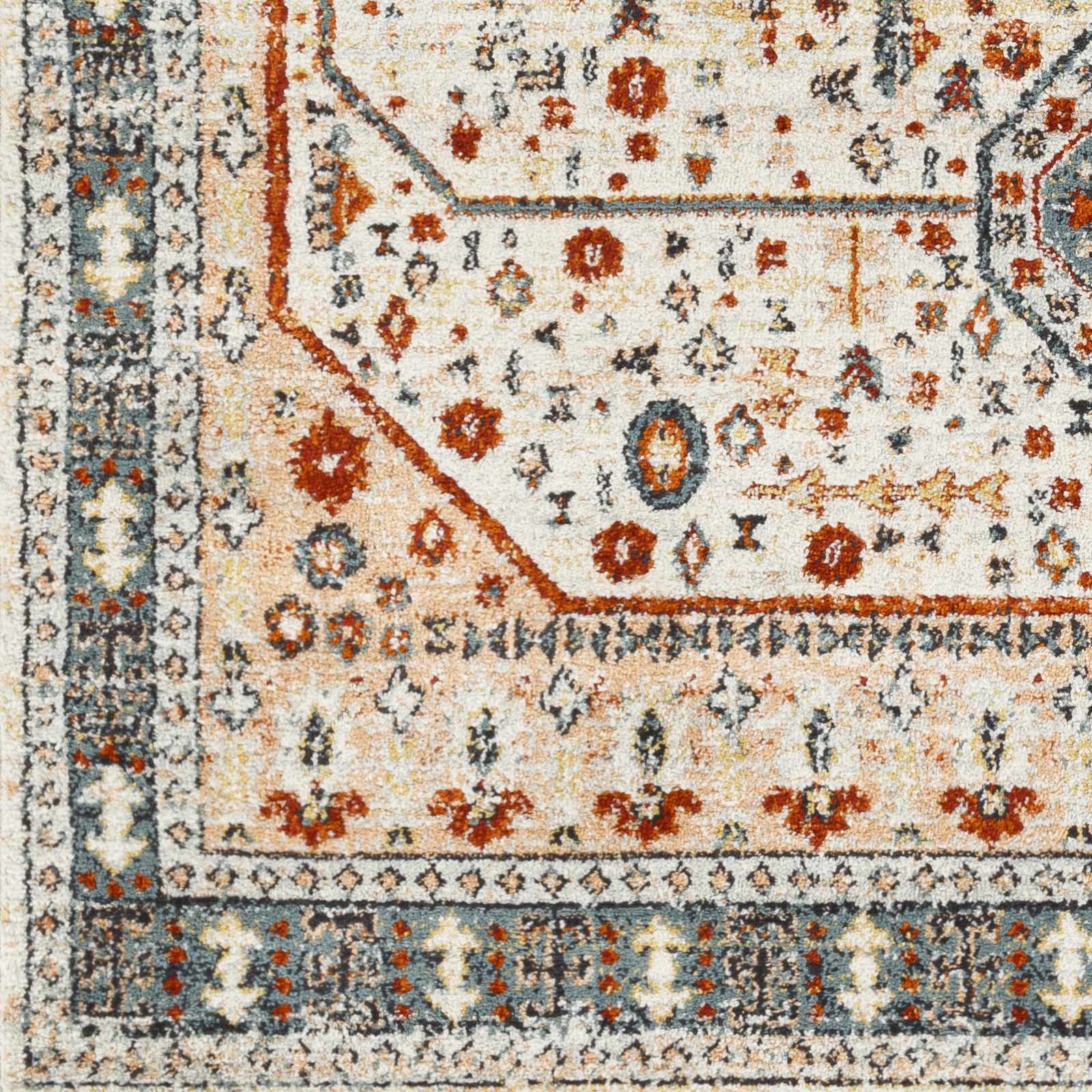 Tevazu TVZ-2339 Machine Woven Rug