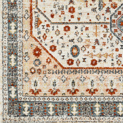 Tevazu TVZ-2339 Machine Woven Rug
