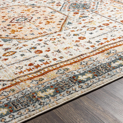 Tevazu TVZ-2339 Machine Woven Rug