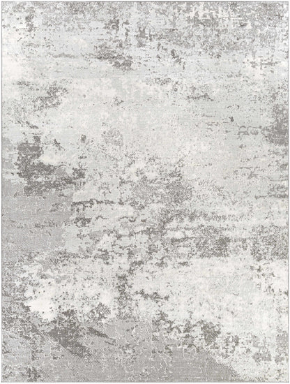 Chester CHE-2343 Machine Woven Rug