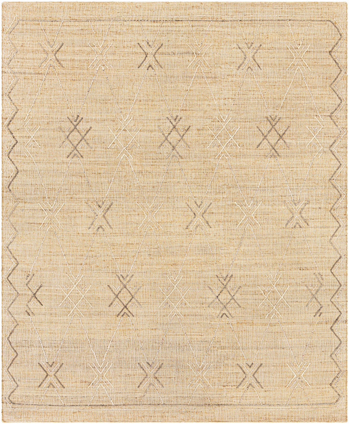 Beige Hand Woven 65% Jute, 20% Wool, 15% Polyester Traditional Rectangle Handmade rug, Indoor use only, no fringe, non-washable.