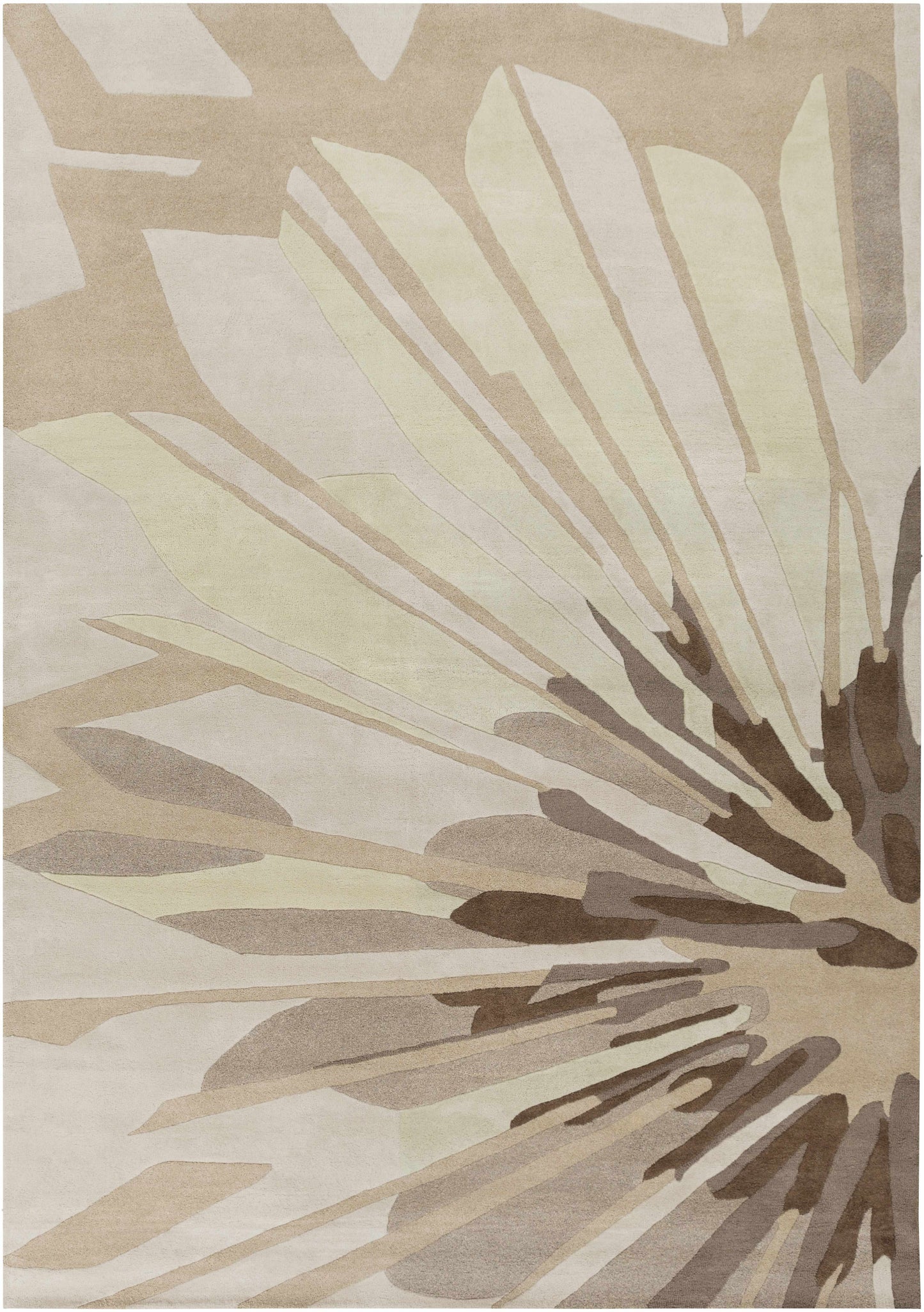 Modern Classics CAN-2032 Hand Tufted Rug