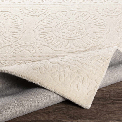 Taraash TRH-2301 Hand Loomed Rug