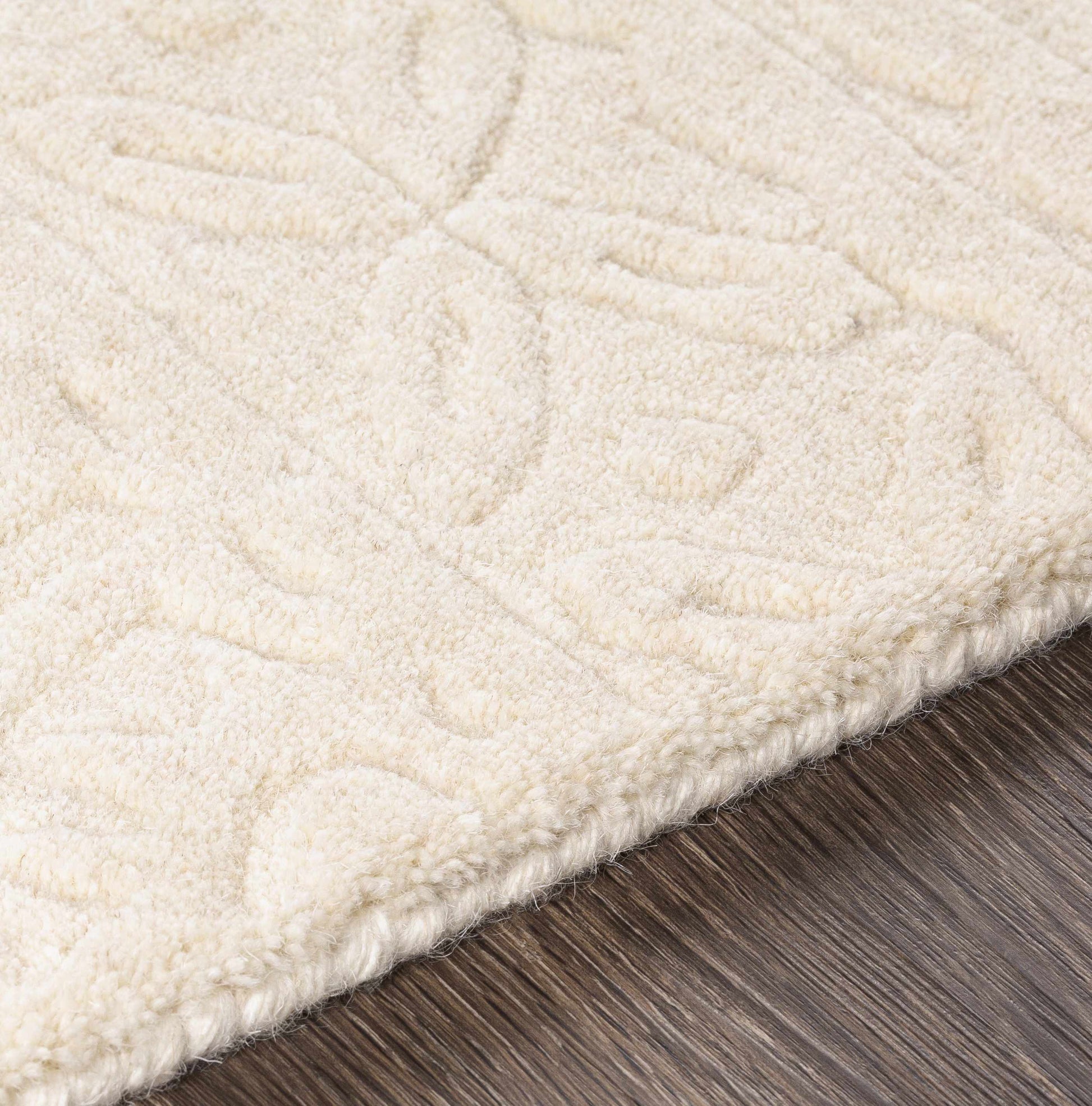 Taraash TRH-2301 Hand Loomed Rug