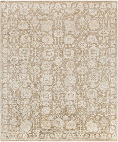 Taupe Hand Knotted 100% Viscose Traditional Rectangle Handmade rug, Indoor use only, has fringe, non-washable.