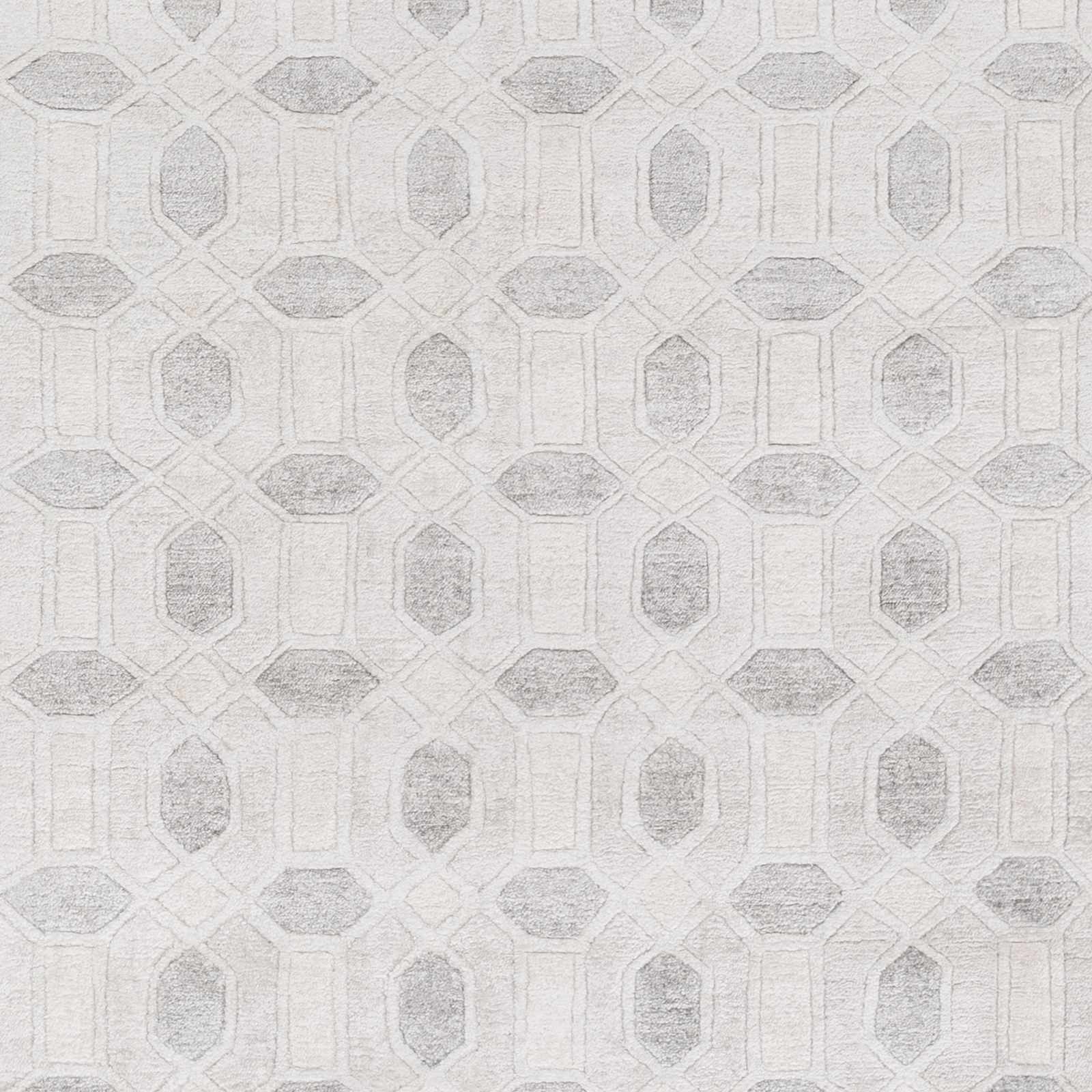Florentine FNT-1001 Hand Knotted Rug
