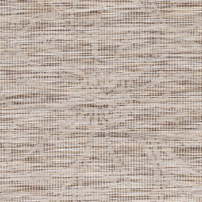 Pasadena PSA-2325 Machine Woven Rug