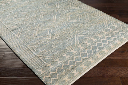 Cadence CEC-2302 Hand Woven Rug