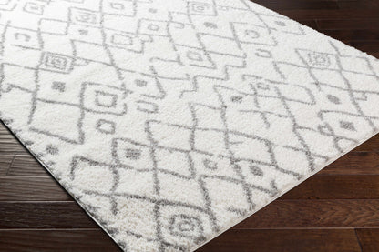 Aliyah Shag ALH-2316 Machine Woven Rug