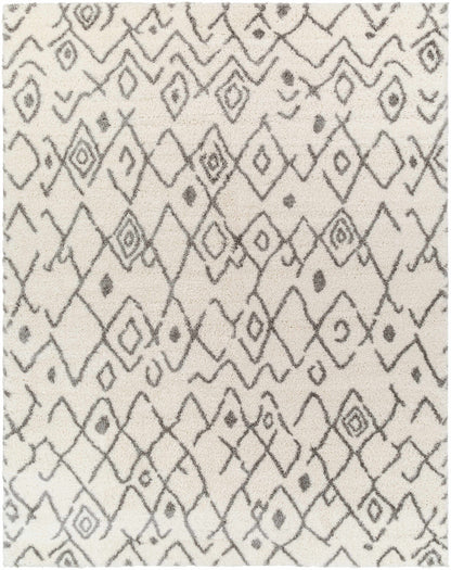 Aliyah Shag ALH-2316 Machine Woven Rug
