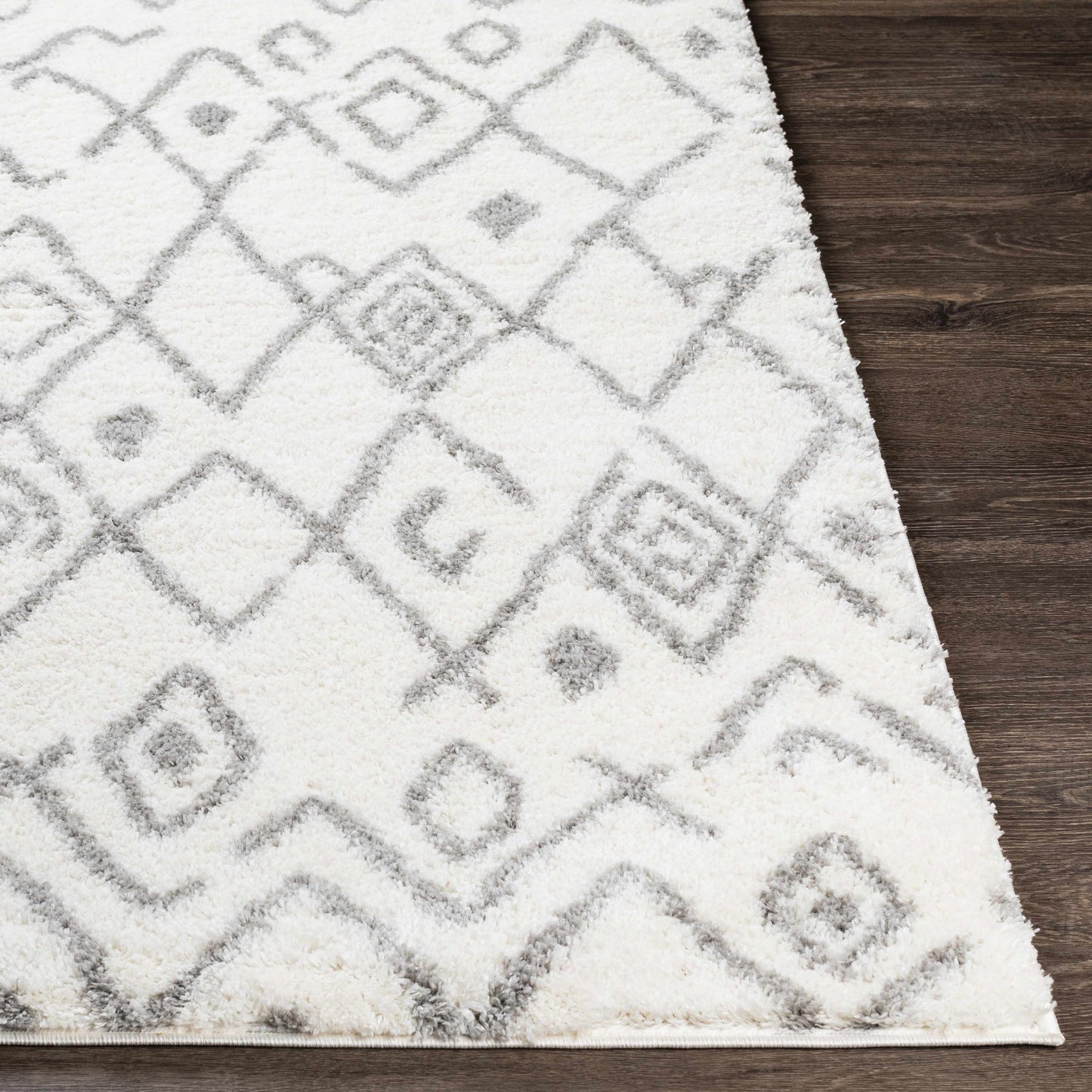 Aliyah Shag ALH-2316 Machine Woven Rug
