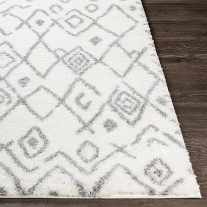 Aliyah Shag ALH-2316 Machine Woven Rug