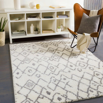 Aliyah Shag ALH-2316 Machine Woven Rug