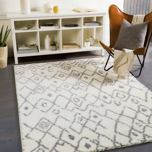 Aliyah Shag ALH-2316 Machine Woven Rug